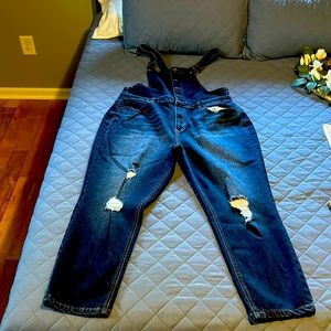 Ladies No Boundaries bib overalls.